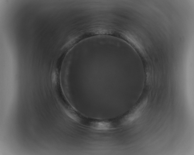 X0000111120165200907071005