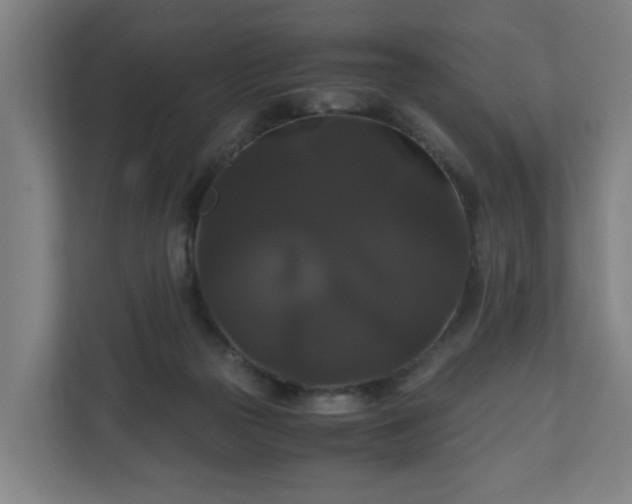 X0000111120169200907071005