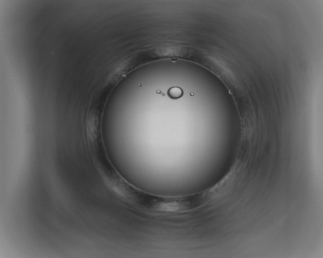 X0000111120171200907071005