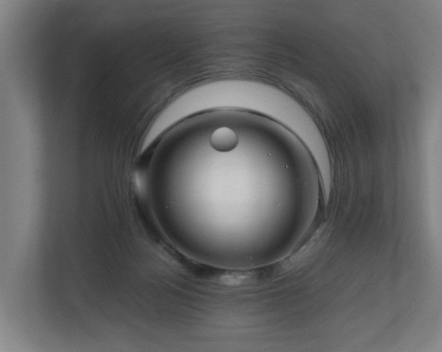 X0000111120172200907071005