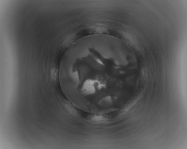 X0000111120177200907071005