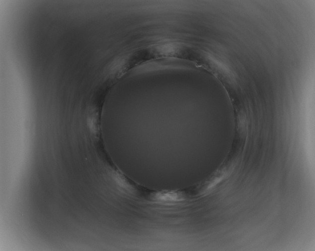 X0000111120181200907071005