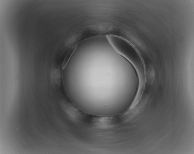 X0000111120184200907071005