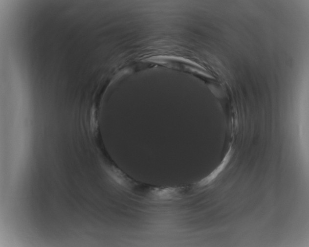 X0000111120186200907071005