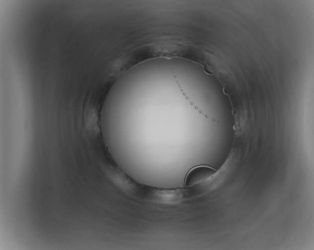 X0000111120187200907071005