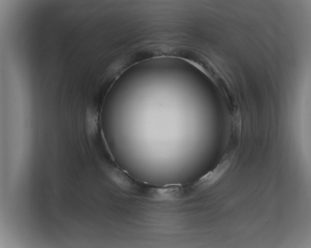 X0000111120188200907071005