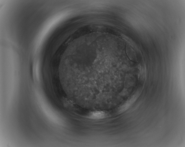 X0000111120189200907071005