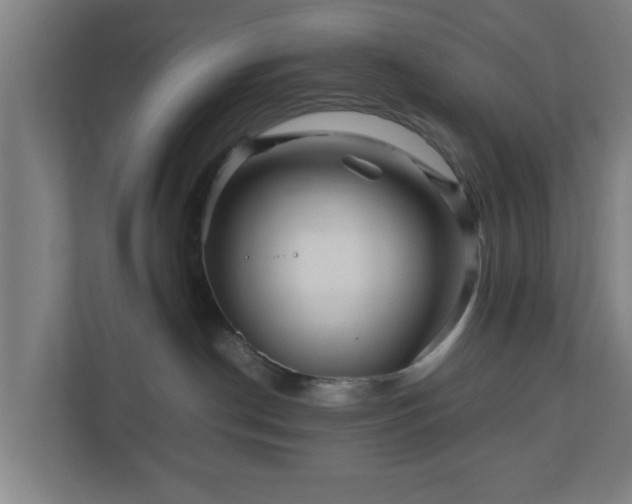 X0000111120190200907071005