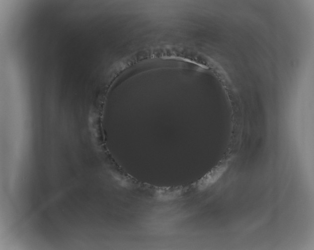 X0000111120192200907071005