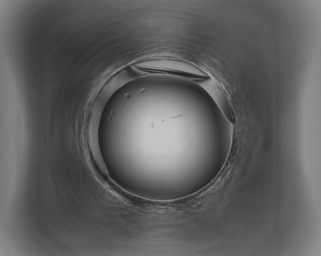 X0000111120193200907071004