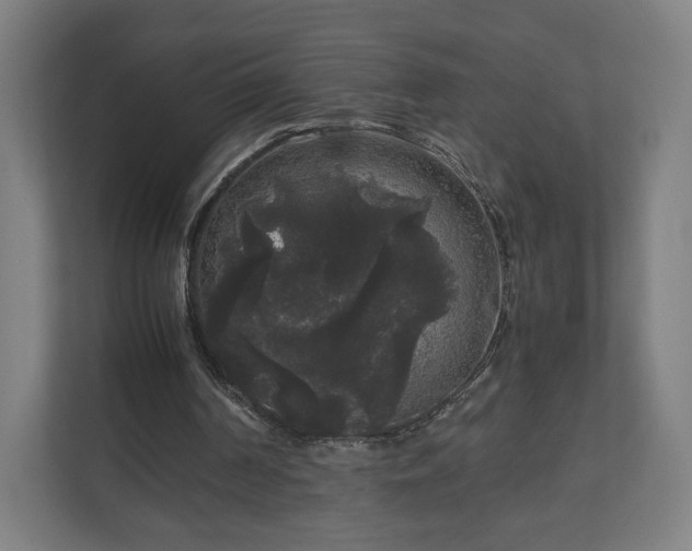 X0000111120194200907071004