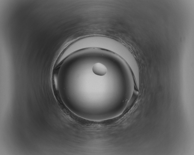 X0000111120195200907071004