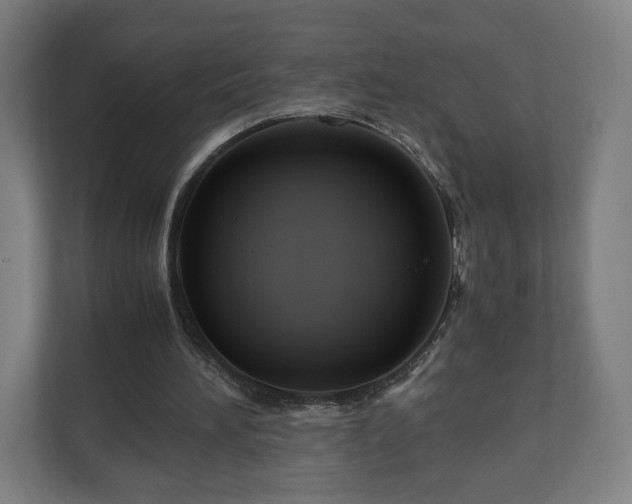 X0000111120196200907071004