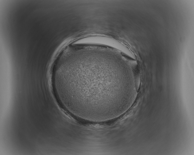 X0000111120197200907071004