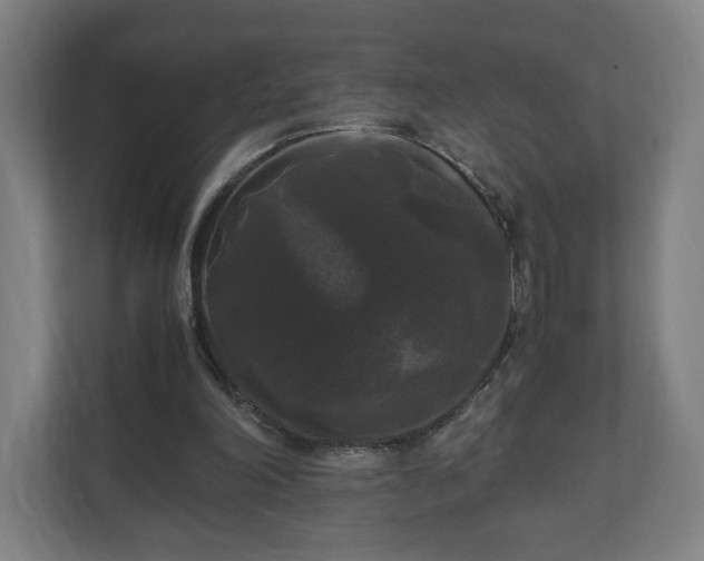 X0000111120198200907071004