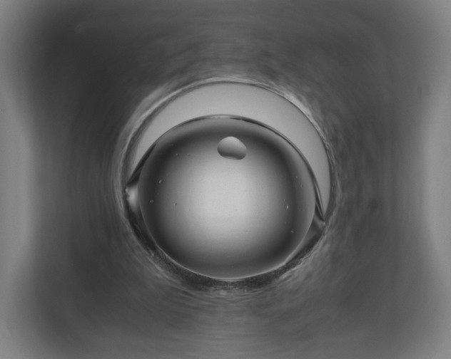 X0000111120199200907071004