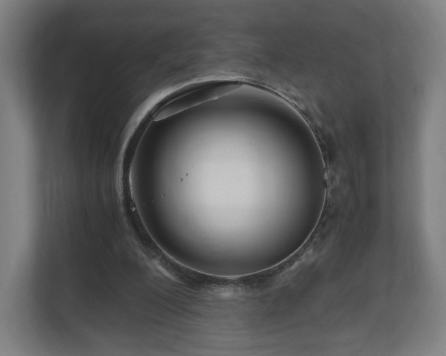 X0000111120200200907071004