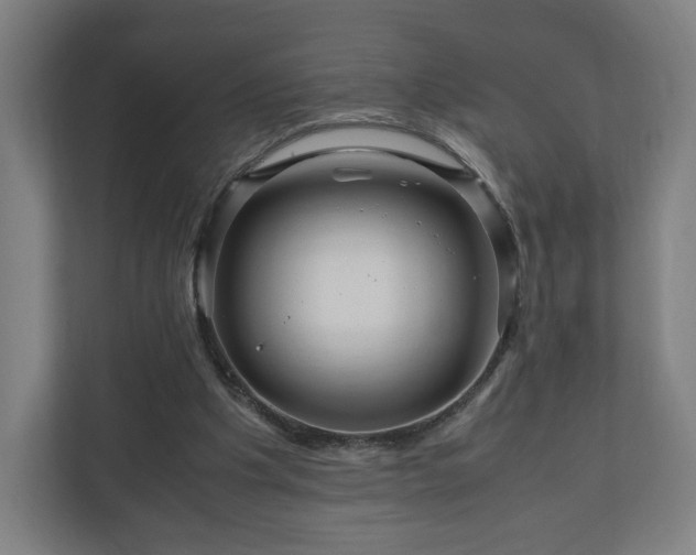 X0000111120201200907071004