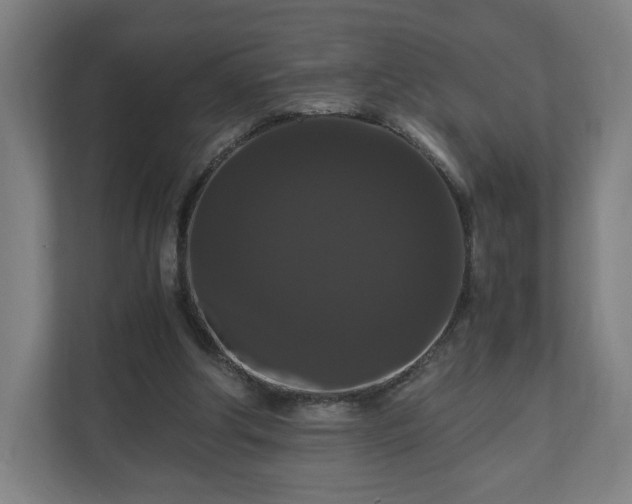 X0000111120202200907071004