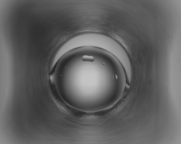 X0000111120205200907071004