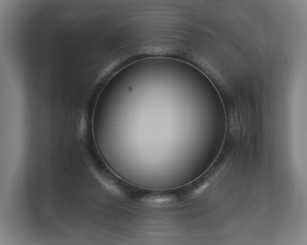 X0000111120208200907071004