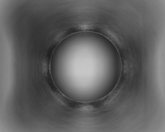 X0000111120210200907071004