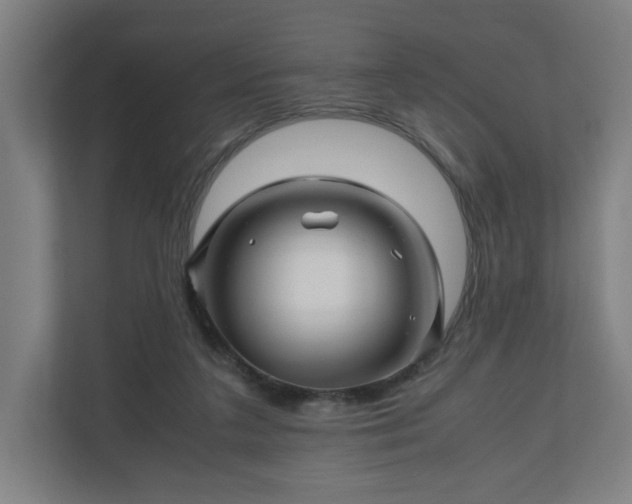 X0000111120211200907071004