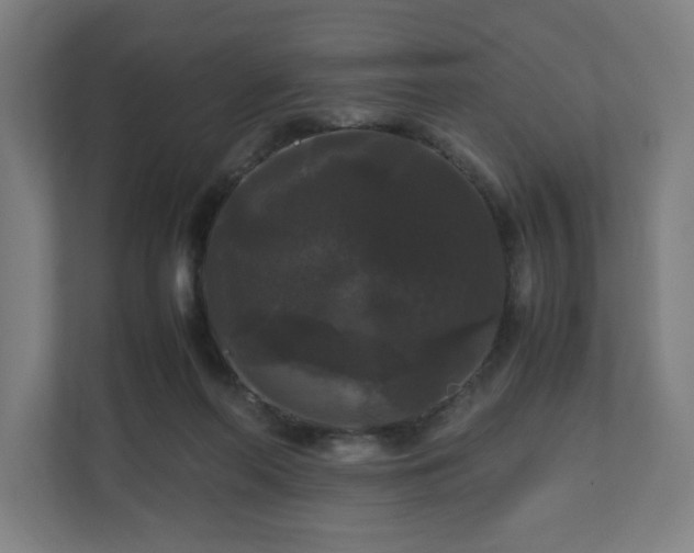 X0000111120214200907071004