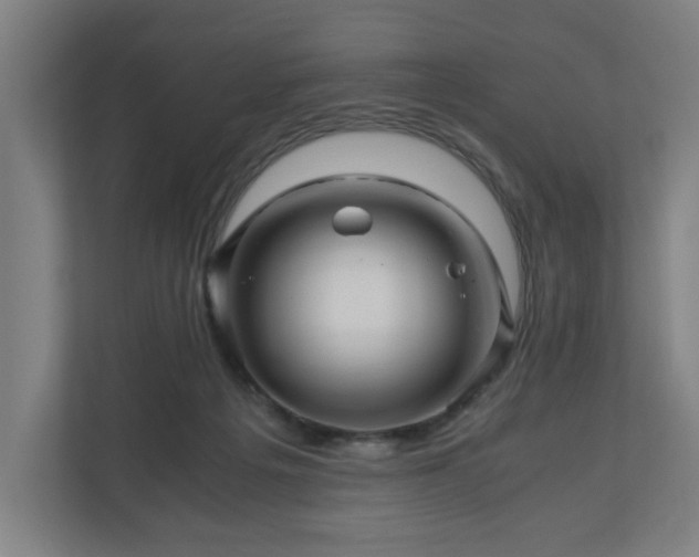 X0000111120217200907071004