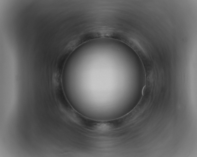 X0000111120218200907071004