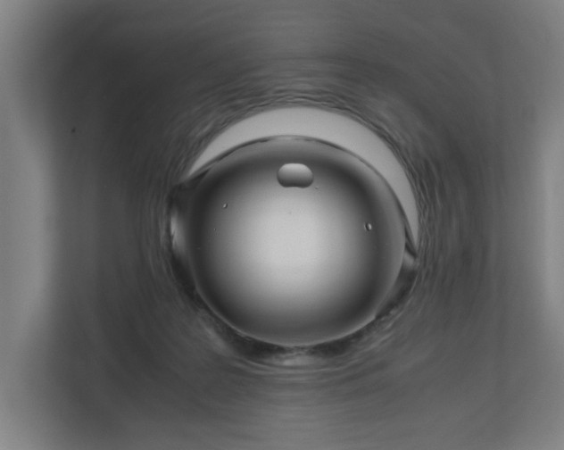 X0000111120219200907071004