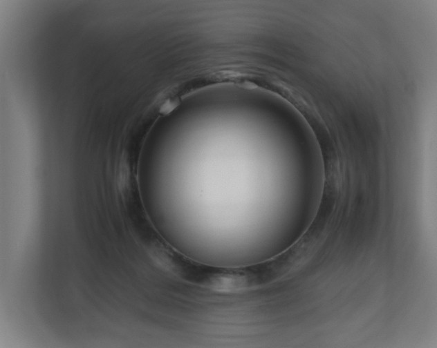 X0000111120220200907071004