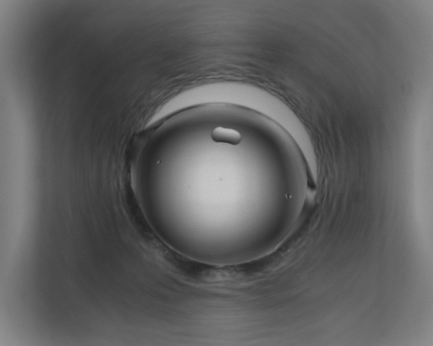 X0000111120223200907071004