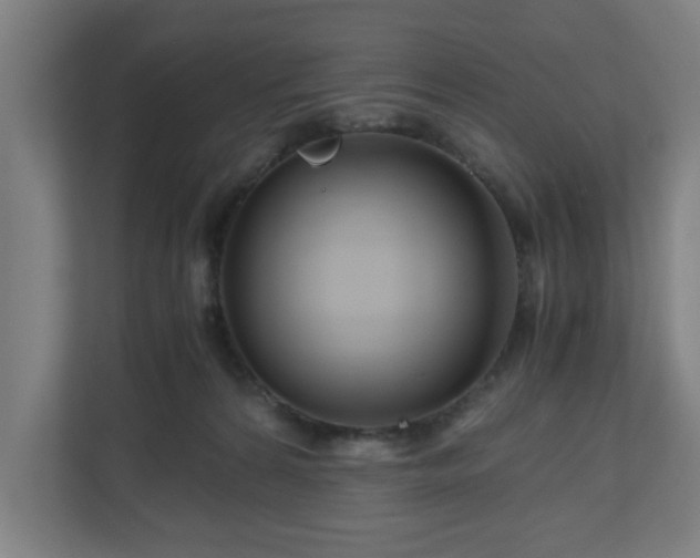 X0000111120224200907071004