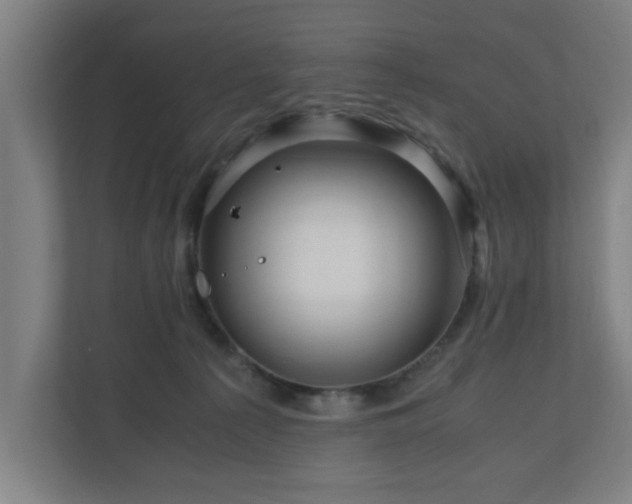 X0000111120225200907071004