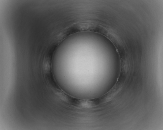 X0000111120226200907071004