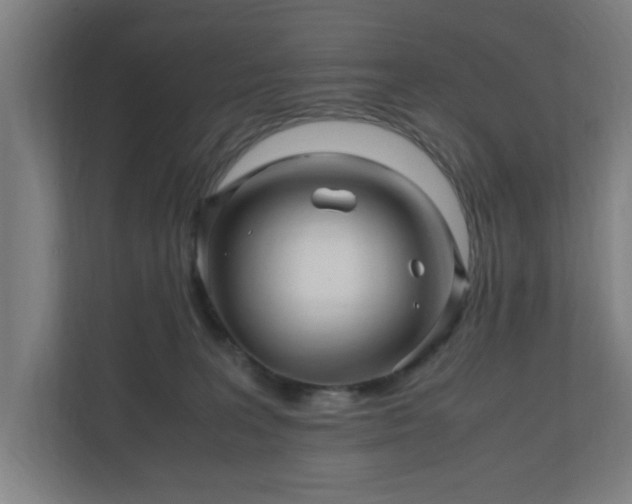 X0000111120227200907071004