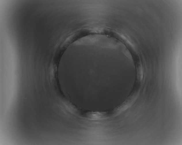 X0000111120229200907071004