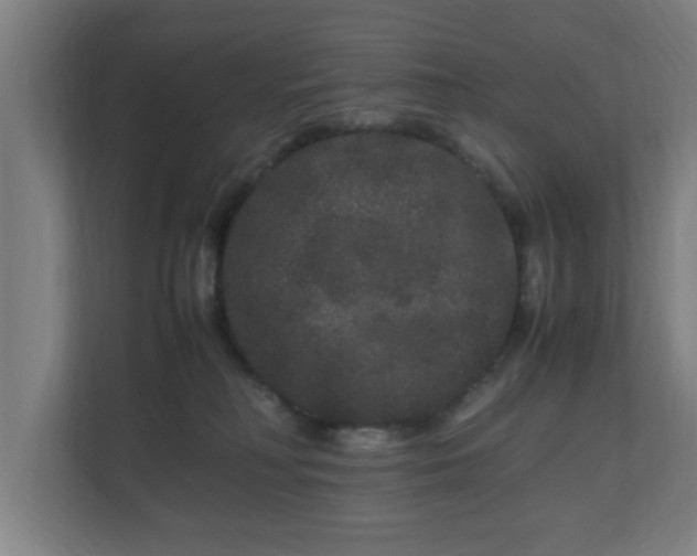 X0000111120230200907071004