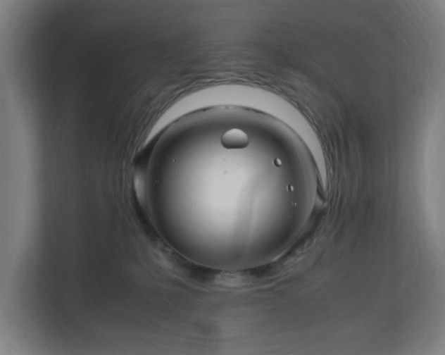 X0000111120231200907071004