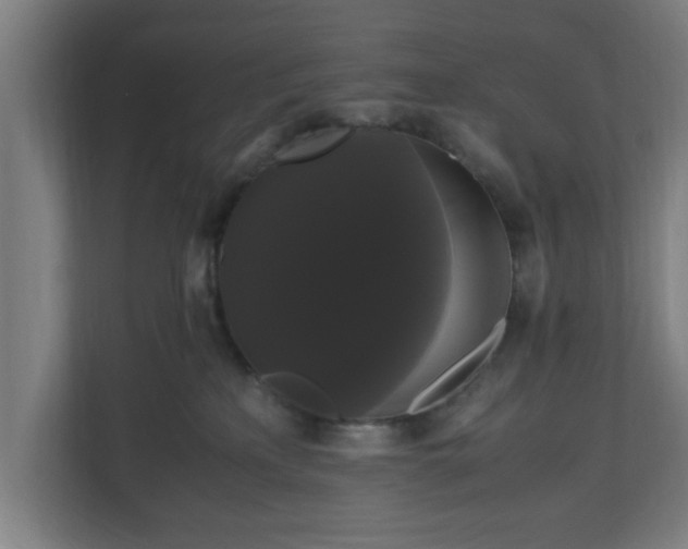 X0000111120233200907071004