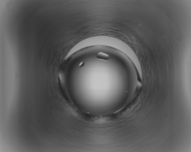 X0000111120235200907071004