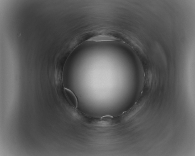 X0000111120236200907071004