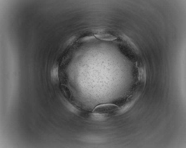 X0000111120238200907071004