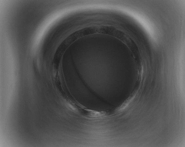 X0000111120239200907071004