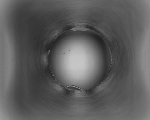 X0000111120240200907071004