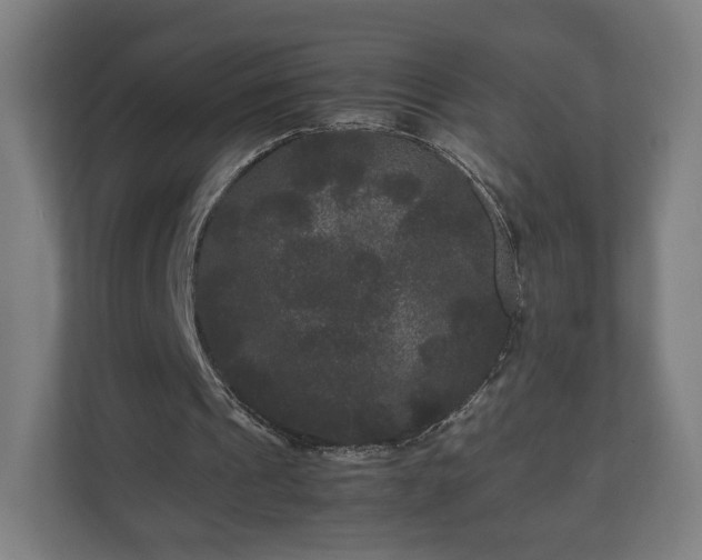 X0000111120241200907071003