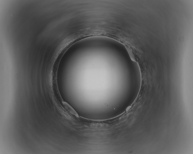 X0000111120242200907071003