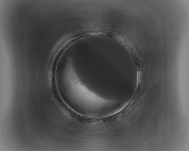 X0000111120243200907071003