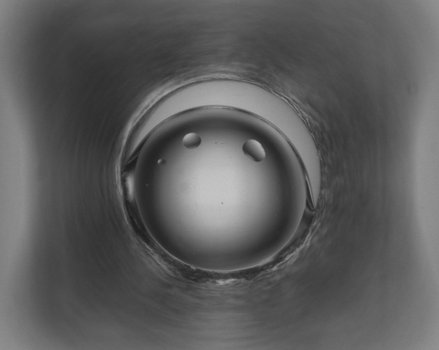 X0000111120244200907071003